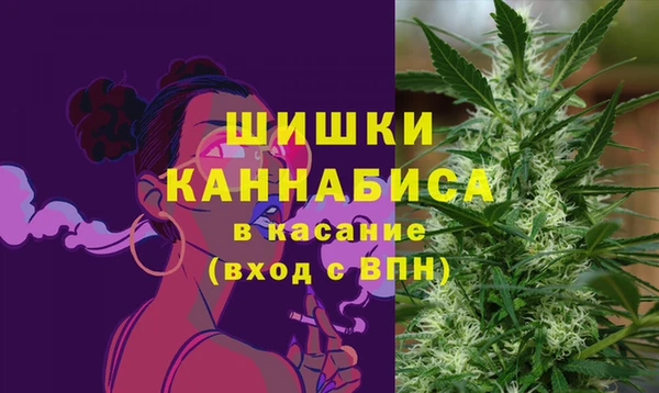 МДПВ Нязепетровск